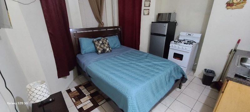 524 Timpson Place unit 1, Bronx, NY 10455 - photo 1