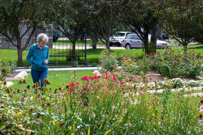 Enjoy a stroll through Roosevelt Park's beautiful rose garden.