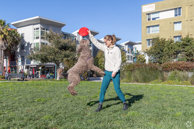 Dogs and their owners love playing at Christie Park in Pacific Park Plaza in Emeryville.