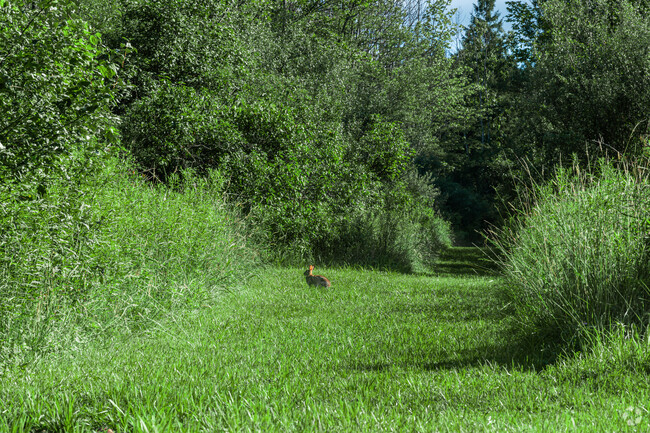 There is so much of green space in Crest View Heights and animals  often roam around freely.
