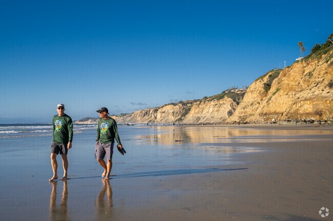 Walk La Jolla’s breathtaking beaches, where rugged cliffs meet glittering shores.
