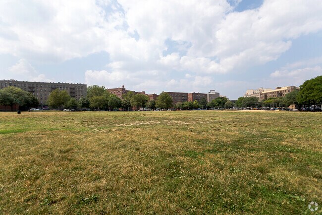 Bill Rainey Park in Longwood is where you can play, watch or just relax.