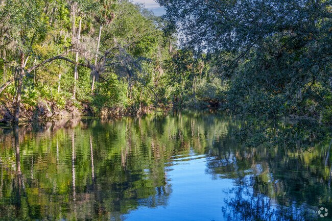 Only minutes from DeBary, you'll find Blue Springs State Park.