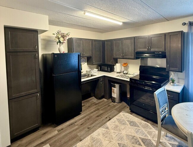 Aboussie Pavillion, Saint Louis, MO 63116 - photo 3