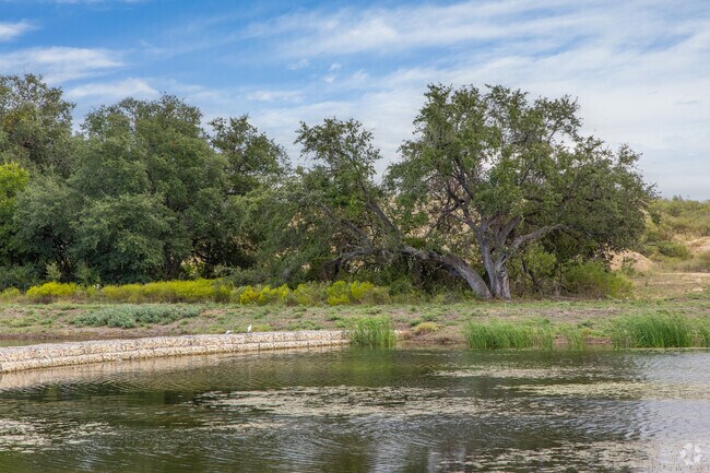 Ponds and walking trails are spread throughout Liberty Hill communities.
