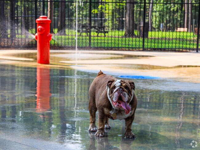 The dog park near Woodstock, at Wannamaker County Park, has water features for dogs.