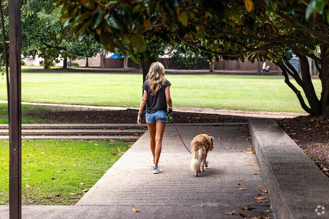 Marion Square in Mazyck-Wraggborough is a large park with walking paths.