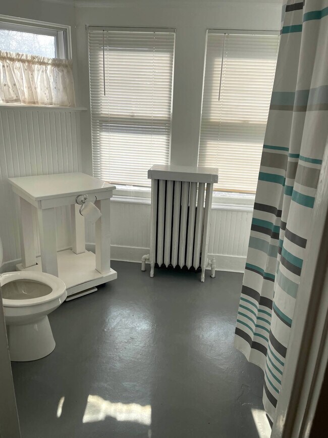 329 Elmwood Ave unit 3A, Buffalo, NY 14222 - photo 7