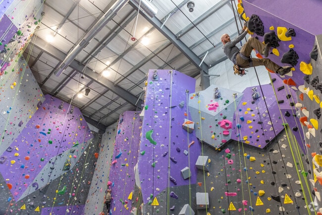 Head down I-96 from Grandmont to Dyno Detroit Climbing for thrills.