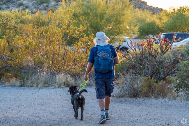 Desert Highlands local enjoys walking his dog at sunset along one of the many trails.
