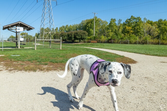 Happy Tails Dog Park is a huge dog park in the area.
