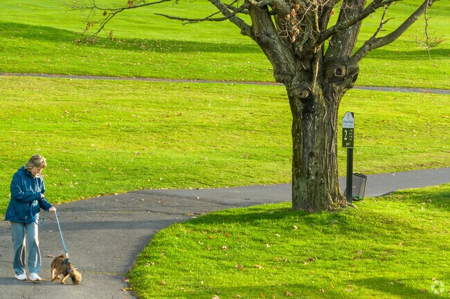 Residents enjoy walking their dogs in South Central when the weather is nice.