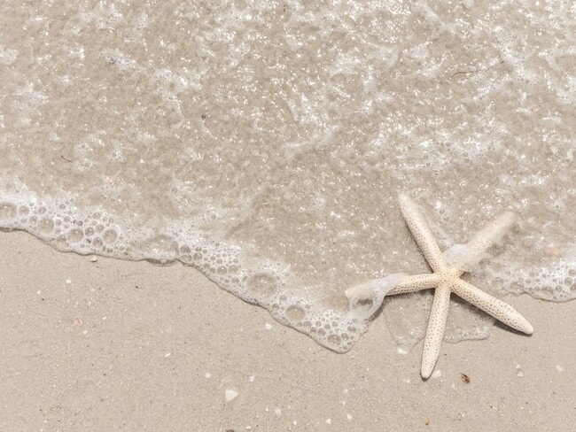 Investors welcome—discover the opportunity to own on beautiful Pine Island.