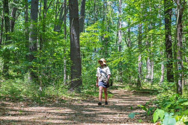 Lime Kiln Quarry has a difficult entrance to get to, but the peaceful trails awaits.
