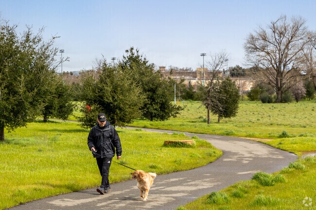 Dog walkers love Bernal Community Park’s open spaces and pet-friendly trails in Pleasanton.