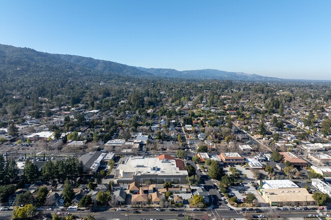Nestled in lush foothills, Los Gatos blends nature and Silicon Valley charm.