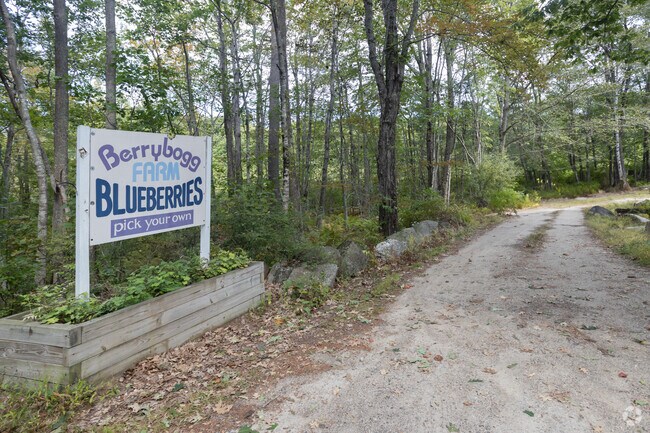 For 45 years, families have been returning to Berrybogg Farm in Strafford, continuing a cherished tradition of filling buckets with sun-warmed blueberries.