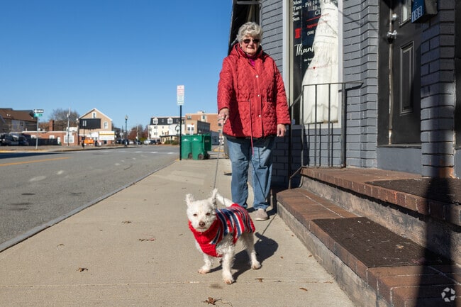 Locals walk their dogs at Mansfield.