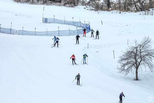 Partake in cross-country skiing at Theodore Wirth Regional Park