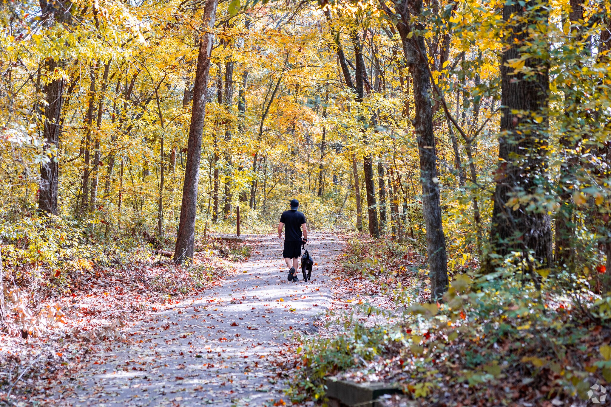 Indian Springs Estate residents enjoy the many walking paths.