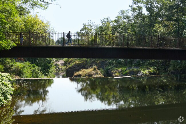 Visit and enjoy the majesty of Yantic Falls.