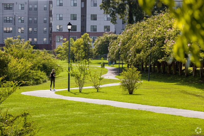 Carter Howell Strong Park, Frenchtown, Tallahassee, FL
Path with Jogger South side of park