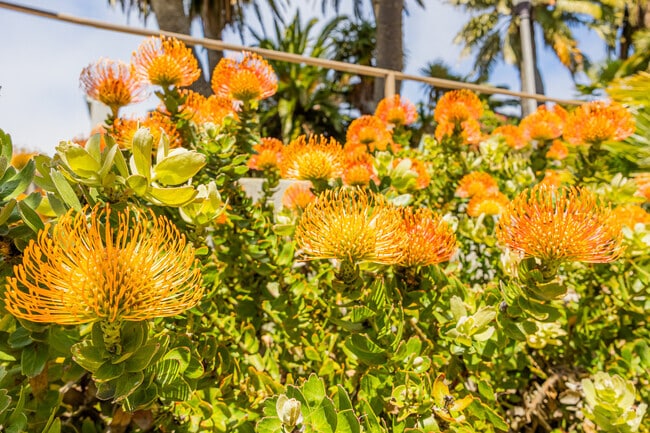 The Sunnyside Conservancy in Sunnyside offers a dazzling display of colorful flora and fauna.