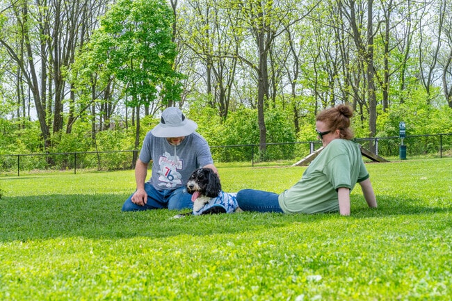 Northampton residents can take their dogs to the Allen Township Dog Park for social play.