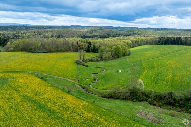 Ellington has many rural green spaces making it ideal for large family farms.