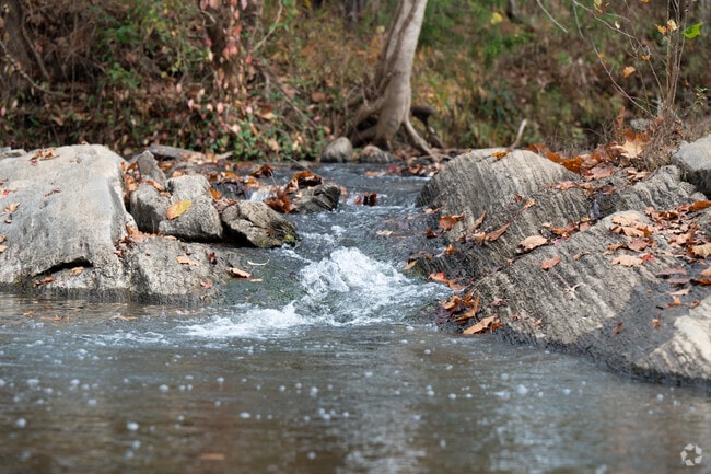 Small waterfalls at Shoal Creek Park offer pleasant sightseeing views.