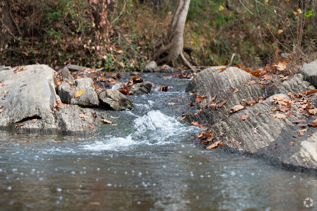Shoal Creek Park has small waterfalls for your site seeing views.