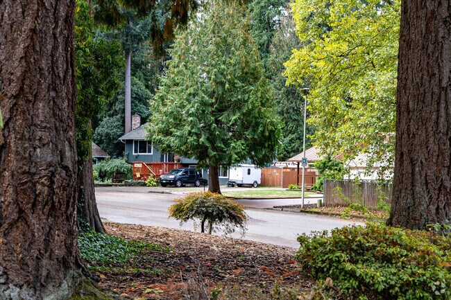 It can be hard to see the homes for the forest in the Forest Ridge neighborhood.