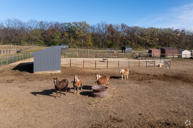 Lockwood Park offers horseback riding lessons for Fairgrounds residents and visitors aged three years and older.