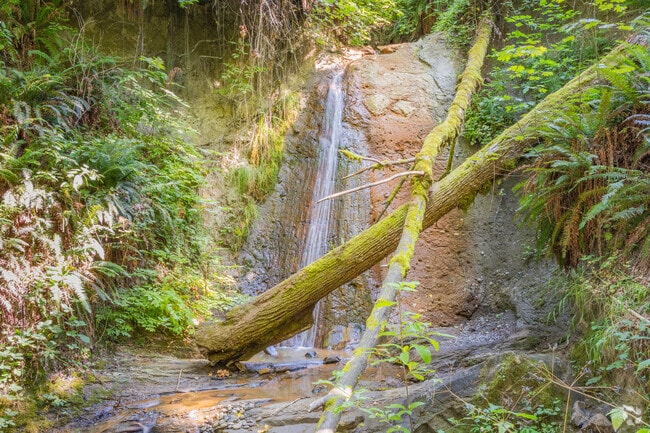 Unwind after a long day near Somerset at North Folk Falls in the Coal Creek Natural Area.