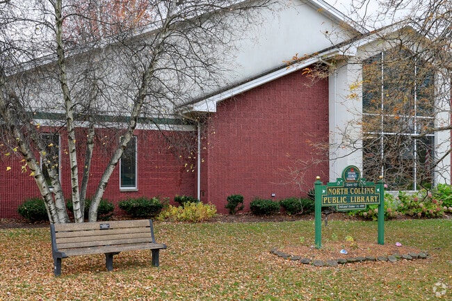 The North Collins neighborhood has an incredible library, come visit.