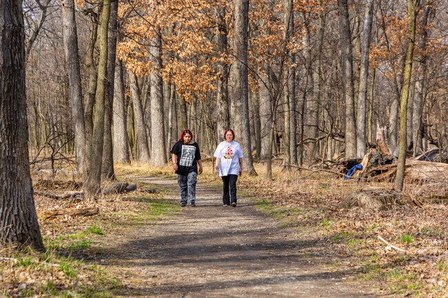 Take a walk through forested paths in Thatcher Woods, located in River Forest.