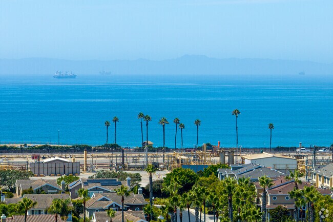 Coastal sun and open skies shape the Edwards Hill experience.