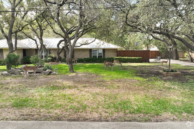 Wildlife run freely through the yards of the Hollywood Park neighborhood.