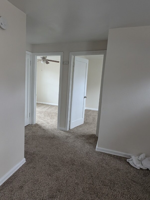 317 W Harrison St, Colorado Springs, CO 80907 - photo 6