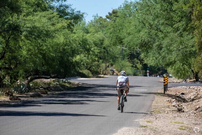 Mesquite lined streets are typical in Rillito Bend.