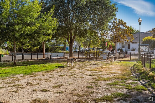 Dogs enjoy an open park at the De Turk Round Barn Dog Park in West End Santa Rosa.