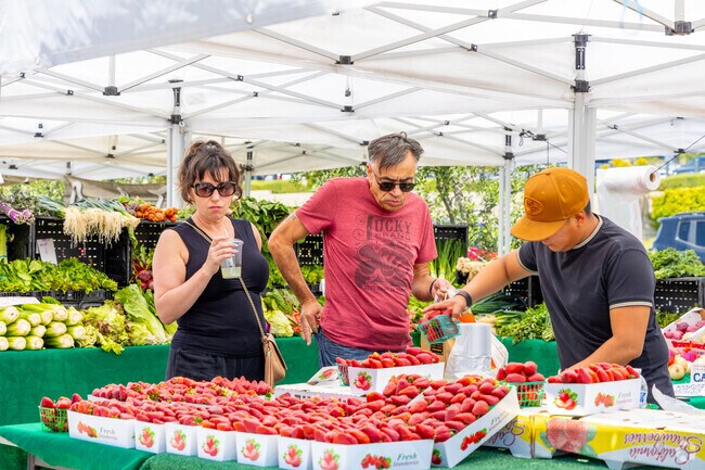 You can always find fresh fruit and vegetables available at the Porter Ranch Farmers’ Market in Chatsworth.