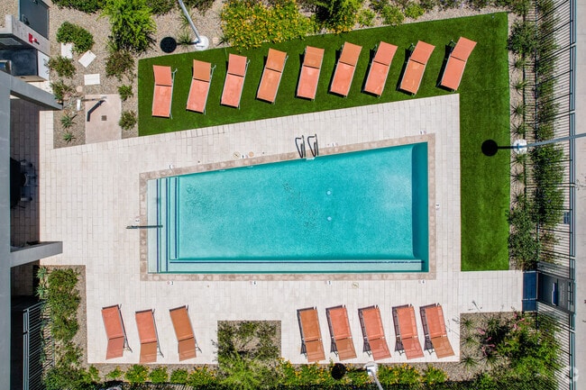 Luxury Swimming Pool