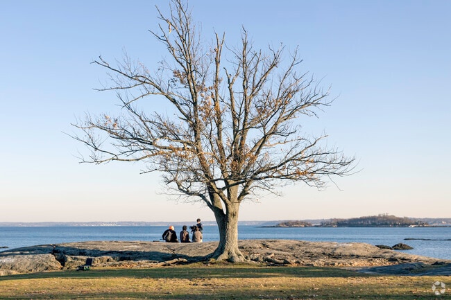 Davenport Park in the Isle of San Souci is a serene and tranquil landscape.