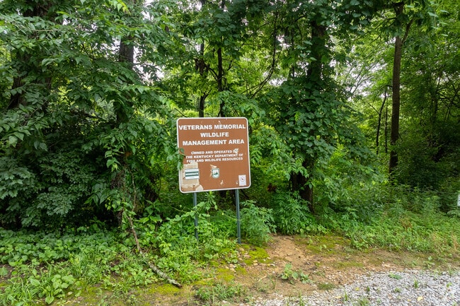 Active residents head to Veterans Memorial WMA for dog walking, fishing, and trekking through forests and abandoned structures.
