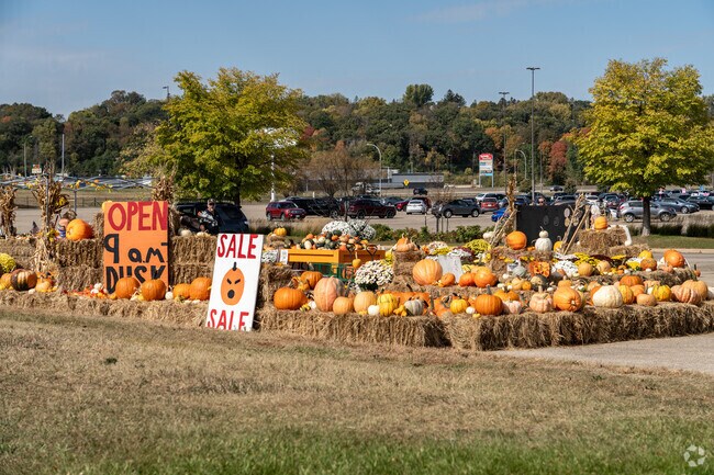 Hart Farms residents can visit nearby pumpkin patches for fall fun and seasonal decor shopping.