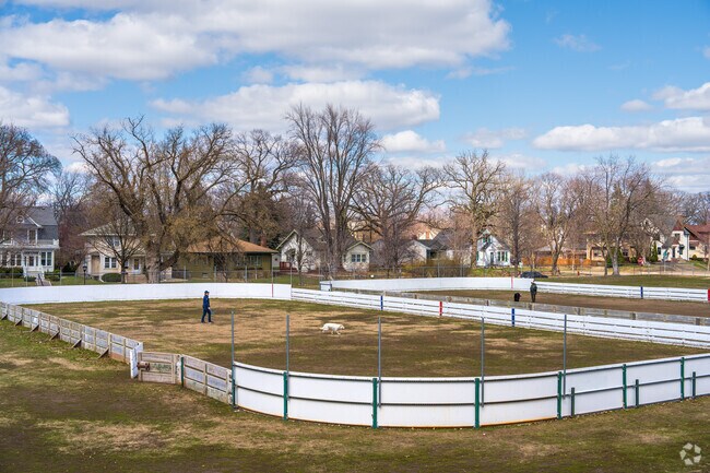 The hockey rinks at Groveland Park also serve as dog parks in the off season.