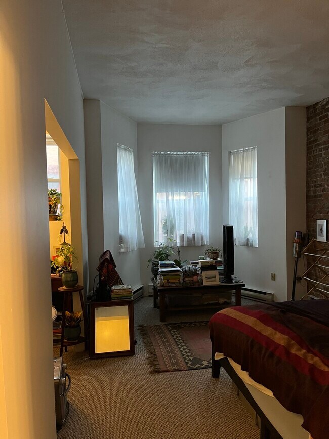 111 Norway St unit 101, Boston, MA 02115 - photo 2