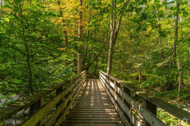 Residents of Olive can take hikes to Ashokan High Point.