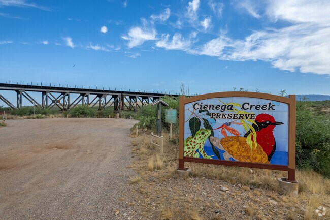 Cienega Creek Preserve offers intricate and scenic hiking trails in Vail.